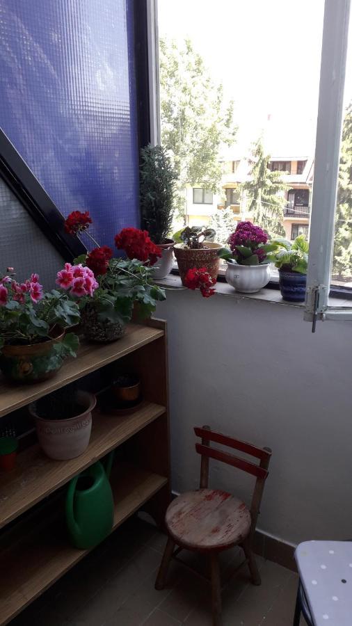 Annika Apartman Eger Extérieur photo